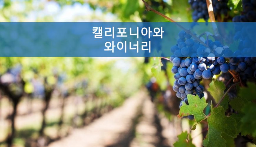 캘리포니아와 와인
